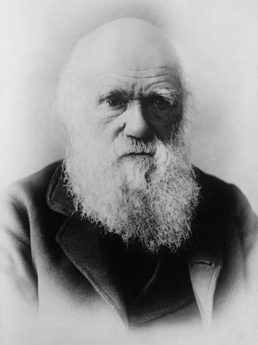 Charles Darwin Zitat Anpassung Wandel